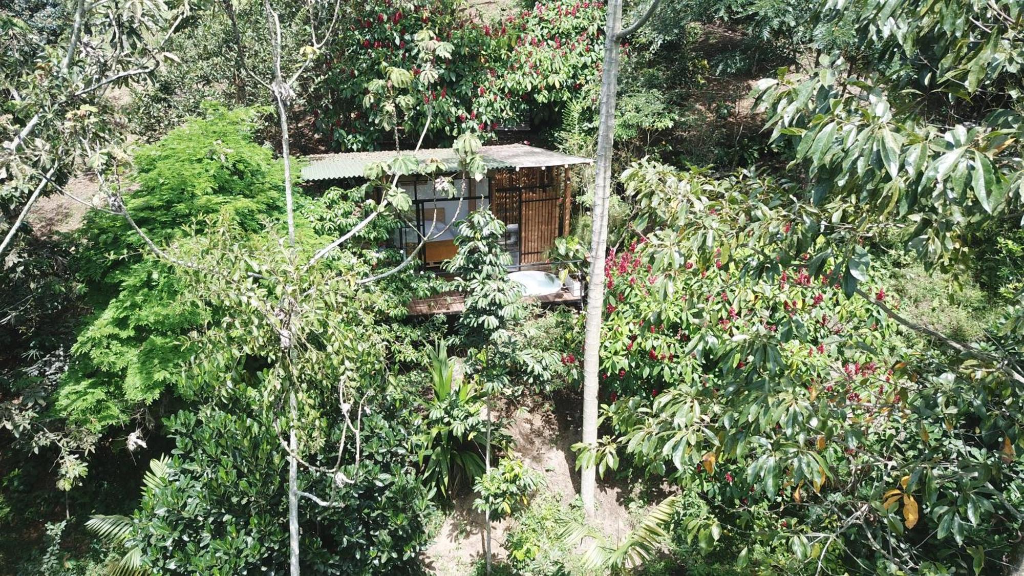 Ecohotel Alma Каларка Экстерьер фото