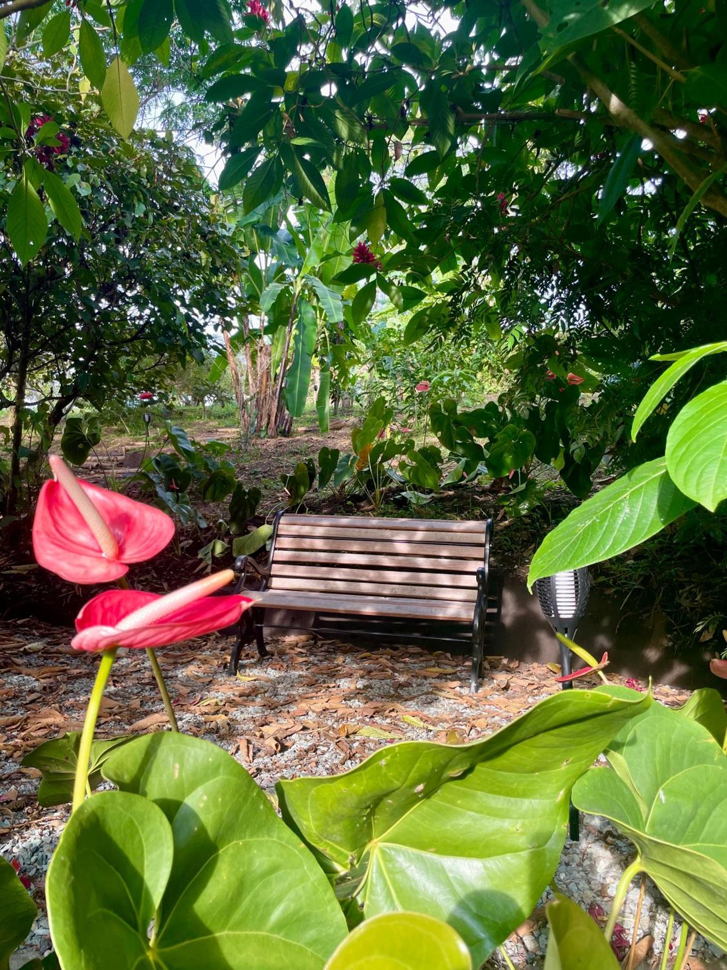 Ecohotel Alma Каларка Экстерьер фото